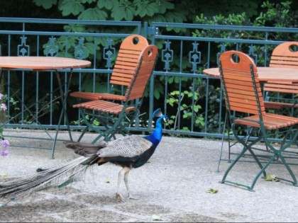 Foto: Paulaner-Garten am Höxberg